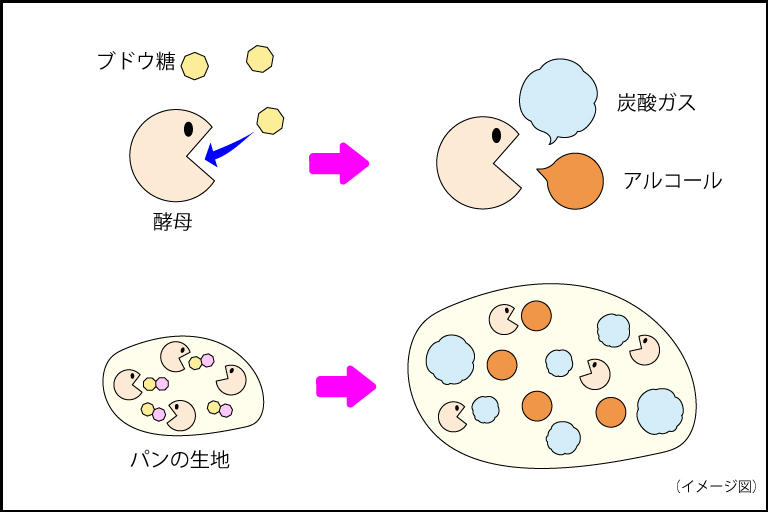 発酵促進_20220516.jpg