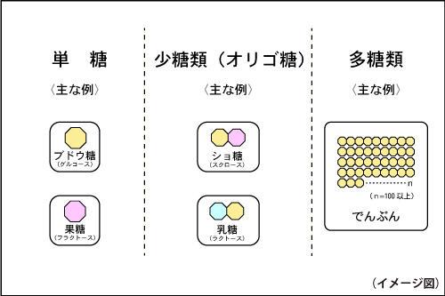 ブドウ糖って？_挿入画像2_糖の説明イラスト.jpg