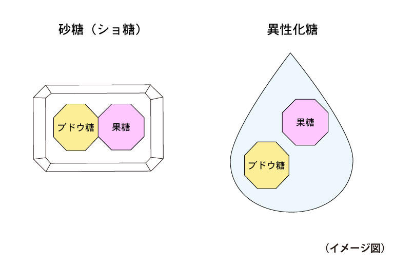 砂糖と異性化糖の違い.jpg