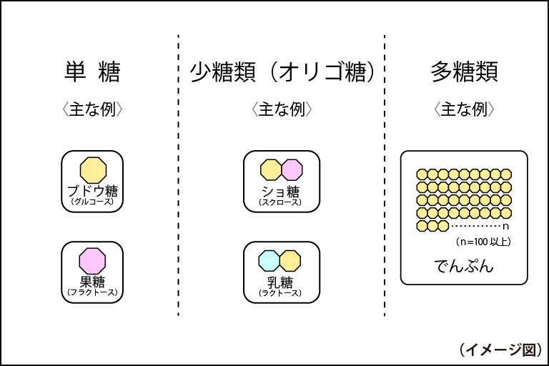 果糖__挿入画像1_糖の説明イラスト.JPG