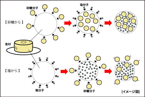 料理のさしすせそ_砂糖&塩分子.jpg