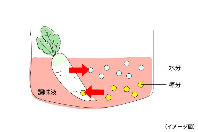 漬け物の浸透圧.jpg