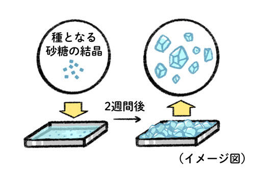 コラム「氷砂糖ってどんなもの？～飴とはちがうの？～」内画像_ロック型.jpg