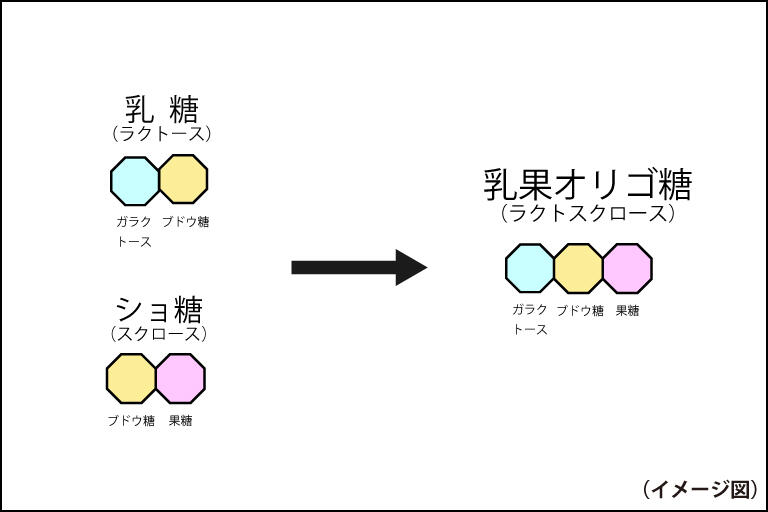 オリゴのおかげは加熱しても使えるの？_挿入画像1_肉じゃがの画像ガラクトースとぶどう糖と果糖のつながりのイラスト.jpg