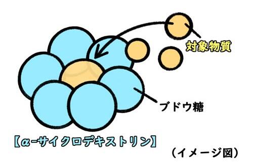 コラム「サイクロデキストリンってどんなもの？」内画像_分子イメージ.jpg