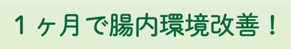 １ヶ月で腸内環境改善！